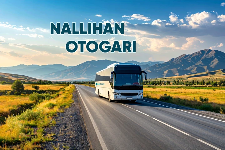 nallıhan otogarı