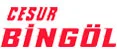 Cesur Bingöl Travel logosu