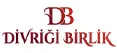 Divriği Birlik logosu